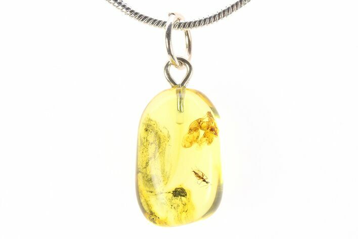 Polished Baltic Amber Pendant (Necklace) - Contains Fly! #288879